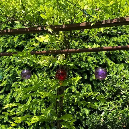 住宿加早餐酒店 A O Soa