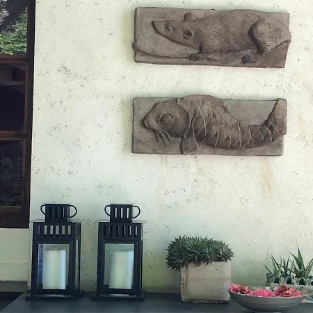 A O Soa 萨维尼奥内