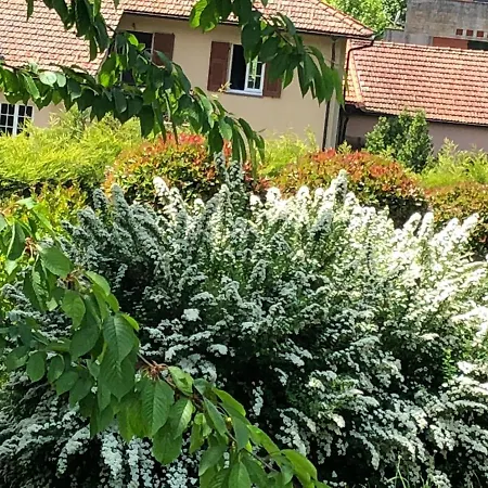 A O Soa Bed & Breakfast Savignone