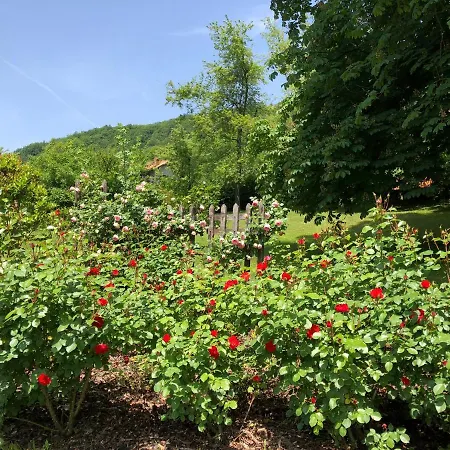 A O Soa 4* 萨维尼奥内