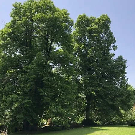 A O Soa 4* Savignone