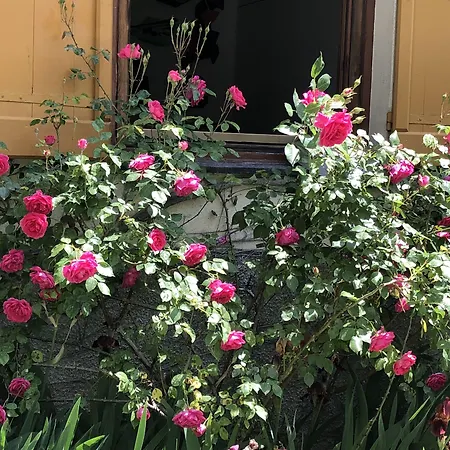 A O Soa Bed & Breakfast 4*