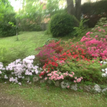 A O Soa 住宿加早餐酒店 萨维尼奥内