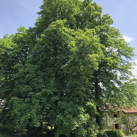 Bed & Breakfast A O Soa