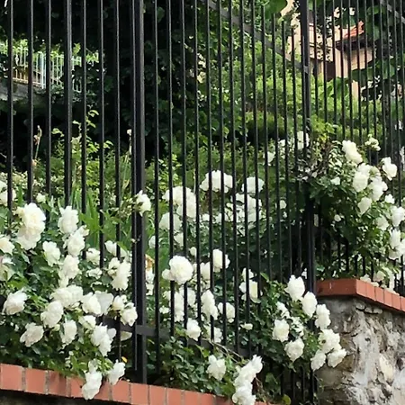 A O Soa 萨维尼奥内