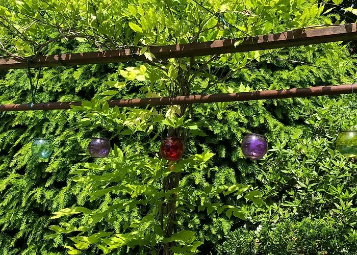 Bed & Breakfast A O Soa