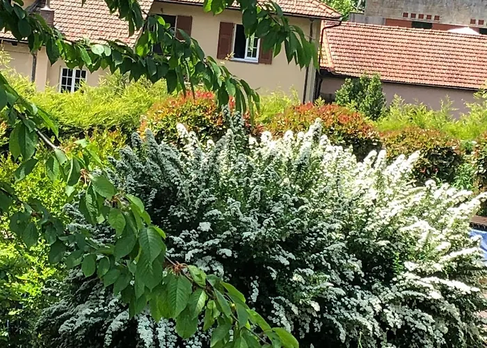 A O Soa Bed & Breakfast Savignone