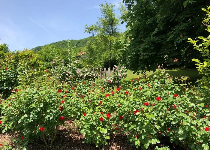 A O Soa 4* Savignone