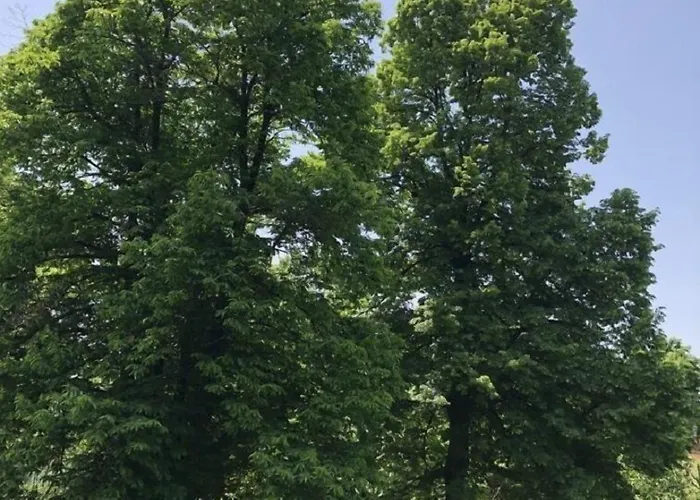 A O Soa 4* Savignone