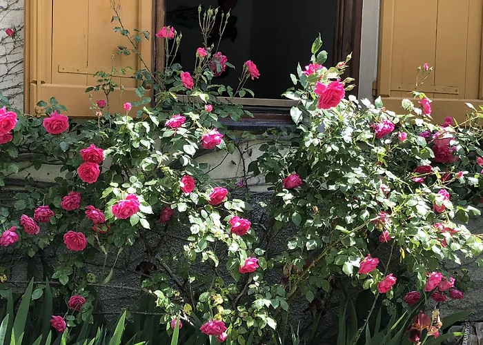 A O Soa Bed & Breakfast 4*