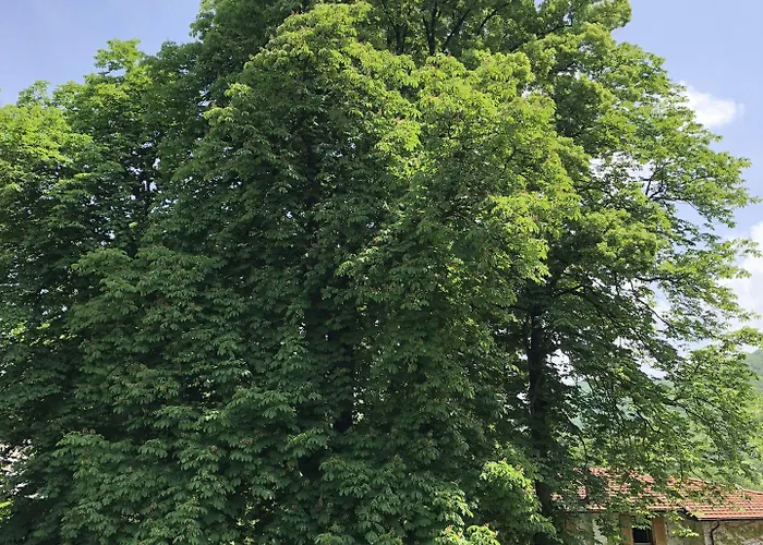 Bed & Breakfast A O Soa